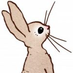 Illustration du profil de supernova