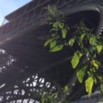 Illustration du profil de Stéphanie REZENTHEL