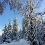 Illustration du profil de Anne-Catherine Steger