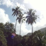 Illustration du profil de nathalie robin