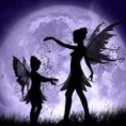 Illustration du profil de Licorne14