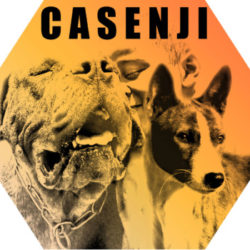 Illustration du profil de casenji