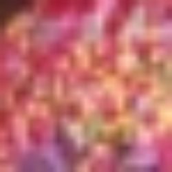 Illustration du profil de Djeridi