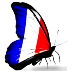 Illustration du profil de BOUVIER G.