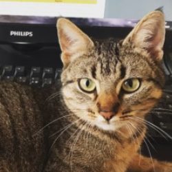 Illustration du profil de Sandra77