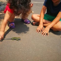 Illustration du profil de khadija