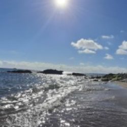 Illustration du profil de Alex31700