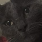 Illustration du profil de blandine_s