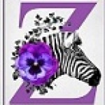 Illustration du profil de ToulouZèbre