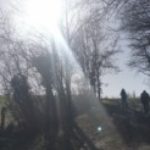 Illustration du profil de Maia