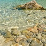 Illustration du profil de bahia